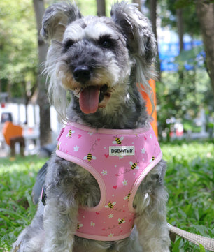 Bobotails No Tug Dog Harness with Adjustable Buckle and Soft Pad,Christmas dog harness,halloween dog harnes for small mediium dogs