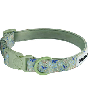 2025  new collection with antique strap dog collar buckles.