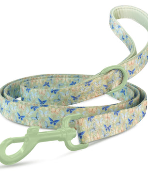 Retractable dog leash with adjustable length for safe and comfortable walks