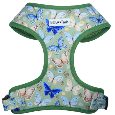 Butterfly Printed Dog Harness