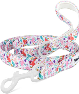 Lightweight nylon leash for small dogs with secure clasp and padded handle