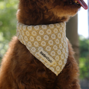 Bobotails Dog Bandana Morning Glory girl dog bandana Adjustable Bib Handkerchief Accessories for Small Medium Large Dogs