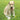 Bobotails Floral Brilliance training collar for medium dogs, 2/3/5 FT Hands Free leash with Comfortable Padded Handl Small and Medium Dogs