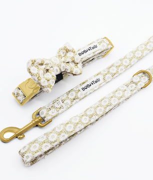 Bobotails Floral Brilliance dog slip lead, 2/3/5 FT Hands Free leash with Comfortable Padded Handl Small and Medium Dogs