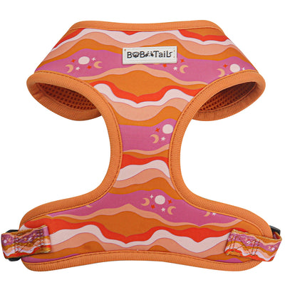 Galaxy Printed Dog Harness