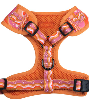 galaxy printed orange dog harness