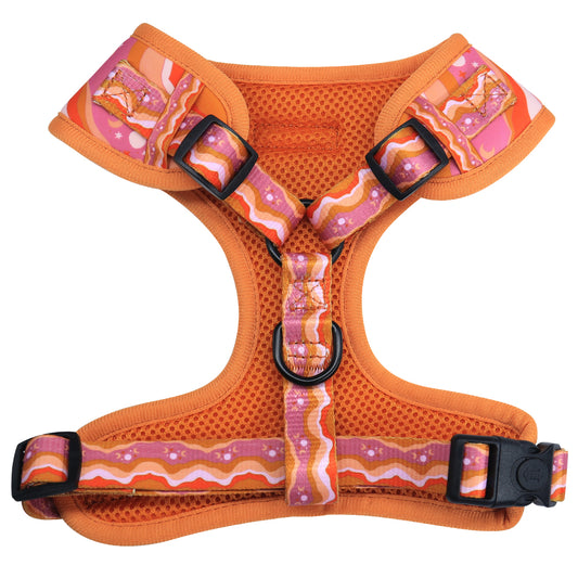 galaxy printed orange dog harness