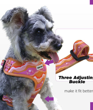 Bobotails Dog Harness,puppy harness and leash set training, Airmesh Breatheable Pet Cotton material Vest with Easy Control for Small and Medium Dogs-Green