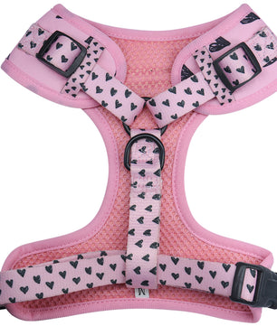 Bobotails Dog Harness, No-Pull  Puppy harness with Leash Clips, Adjustable Soft Padded Dog Vest, Airmesh Breatheable Pet Cotton material Vest with Easy Control for Small and Medium Dogs