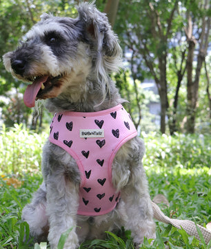 Bobotails Dog Harness,puppy harness and leash set training, Airmesh Breatheable Pet Cotton material Vest with Easy Control for Small and Medium Dogs