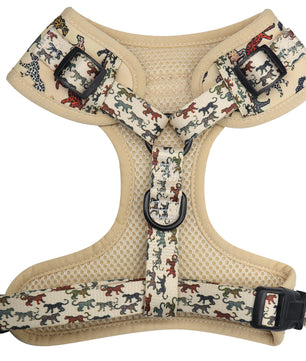 Bobotails Dog Harness,No Pull Pet Harness with  Dog Leash Clips, Adjustable Soft Padded Dog Vest, Airmesh Breatheable Pet Cotton material Vest with Easy Control for Small and Medium Dogs