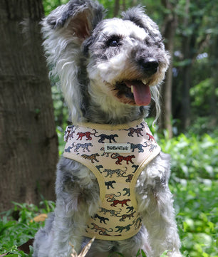 Bobotails Dog Harness,cute puppy harness,Airmesh Breatheable Pet Cotton material Vest with Easy Control for Small and Medium Dogs