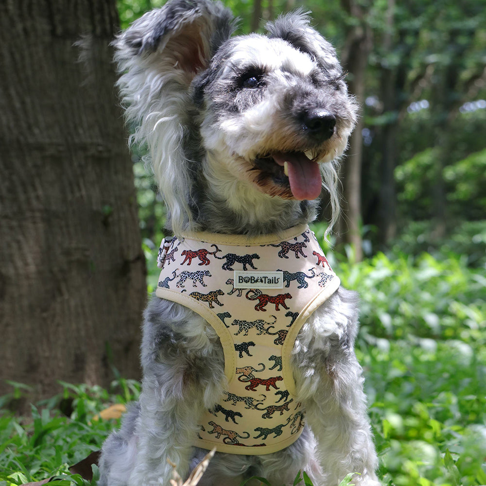 Bobotails Dog Harness,cute puppy harness,Airmesh Breatheable Pet Cotton material Vest with Easy Control for Small and Medium Dogs