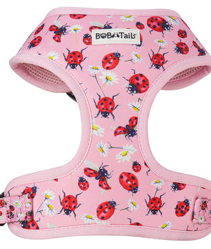 ladybug printed dog harness