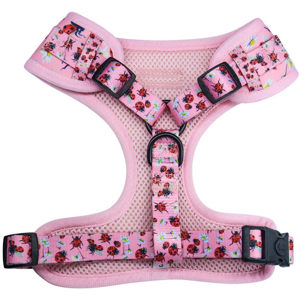 Bobotails Dog Harness,No Pull Pet Harness with  Dog Leash Clips, Adjustable Soft Padded Dog Vest, Airmesh Breatheable Pet Cotton material Vest with Easy Control for Small and Medium Dogs