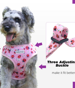 dog harness petco