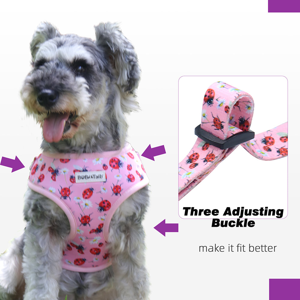 dog harness petco