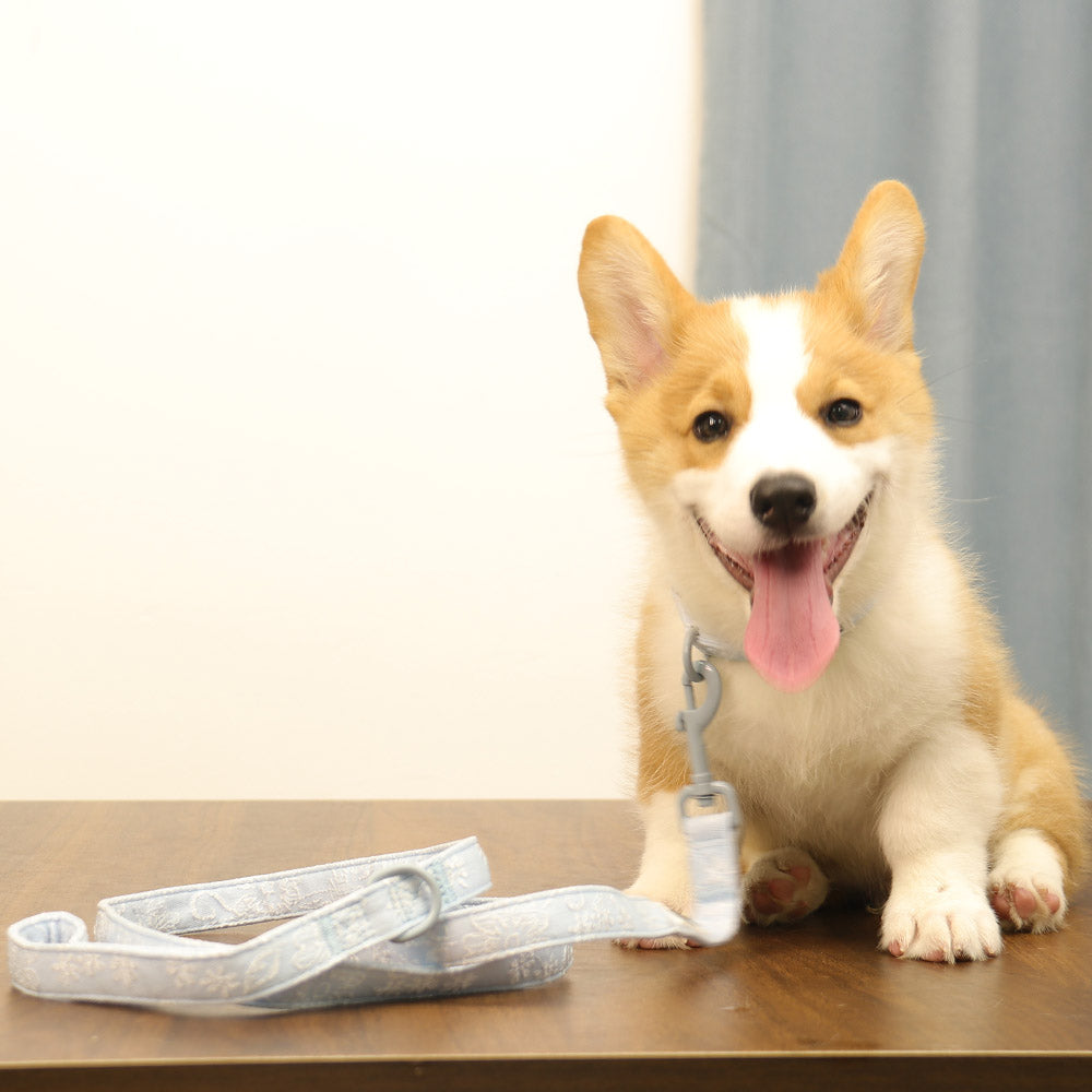 morning glory blue dog leash with collar  designed to complement the harness and accessories within the set