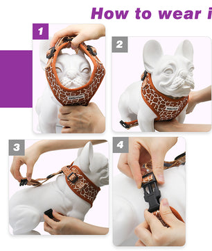 dog harness big to small sizes