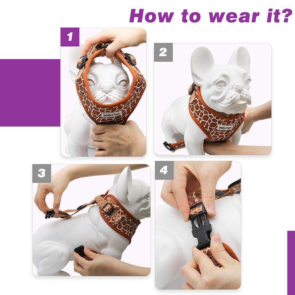 dog harness big to small sizes