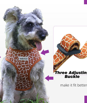 Bobotails Dog Harness,cute puppy harness training, Airmesh Breatheable Pet Cotton material Vest with Easy Control for Small and Medium Dogs
