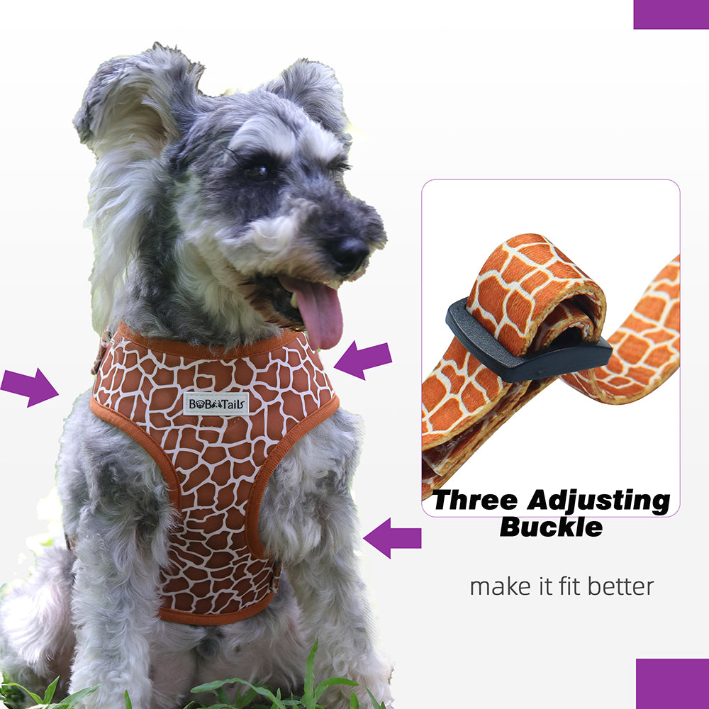 Bobotails Dog Harness,cute puppy harness training, Airmesh Breatheable Pet Cotton material Vest with Easy Control for Small and Medium Dogs