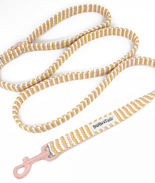 Bobotails Ocean Wave Ripple Dog Lead, 2/3/5 FT Dog Accessories with Comfortable Padded Handl Small and Medium Dogs