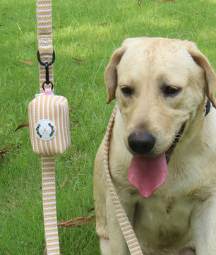 Bobotails retractable dog leash with poop bag holder,doggie waste bag dispenser soft fabric puppy potty carrier small doggy zipper pouch with carabiner clip