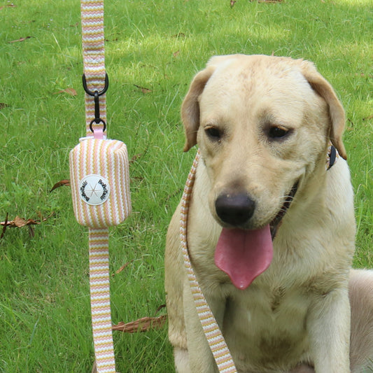 Bobotails retractable dog leash with poop bag holder,doggie waste bag dispenser soft fabric puppy potty carrier small doggy zipper pouch with carabiner clip