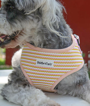 Bobotails Dog Harness, No-Pull Pet Harness with Leash Clips, Adjustable Soft Padded Dog Harness, Airmesh Breatheable Pet Cotton material Vest for hiking,travelling,outdoor activities