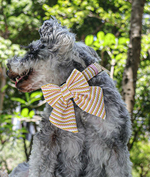 2024 Bobotails New Fashion and Comfotable Collection ocean ripple Dog Bowties 