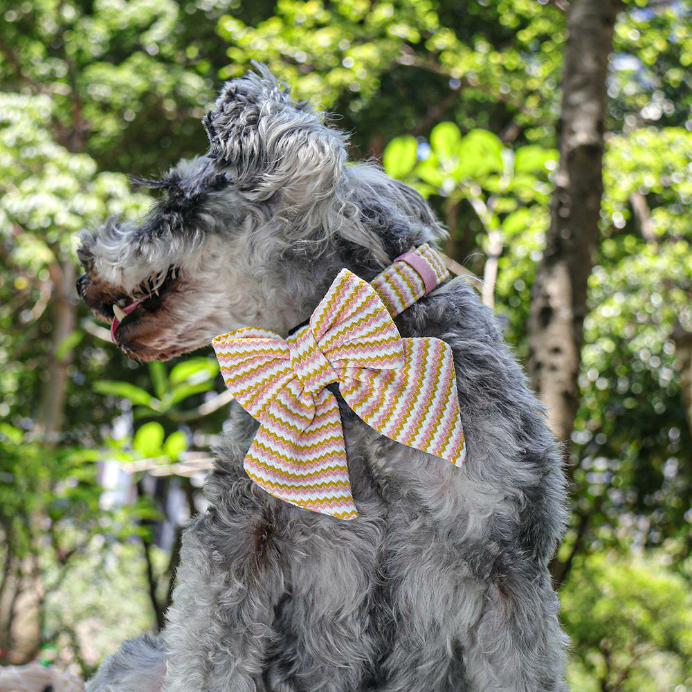 2024 Bobotails New Fashion and Comfotable Collection ocean ripple Dog Bowties 