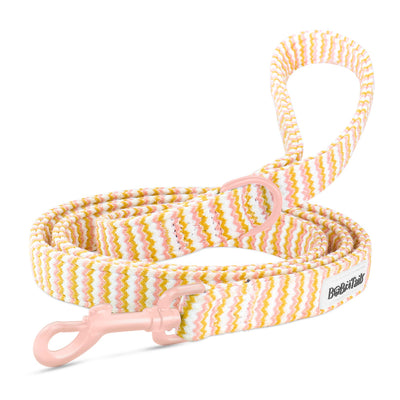 Ocean Ripple Dog Leash