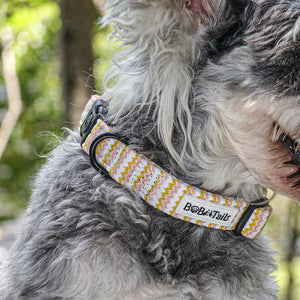 Bobotails Ocean Wave Ripple Dog Collars,Adjustable Dog Leash and Collar Lightweight and Comfortable Knited Material for Small and Medium Dogs