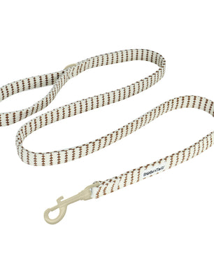 Bobotails Small Gain puppy leash and collar, 2/3/5 FT Dog Leash with Comfortable Padded Handle Small and  Medium Dogs