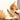Bobotails Sweater puppy accessories for girl dogs,Adjustable Dog Training Collar Lightweight and Comfortable Knited Material for Small and Medium Dogs
