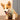 Bobotails Dog Harness, No-Pull Pet Harness with Leash Clips, Adjustable Soft Padded Tactical dog harness, Airmesh Breatheable Pet Cotton material Dog Harness for Small dogs for hiking,travelling,outdoor activities