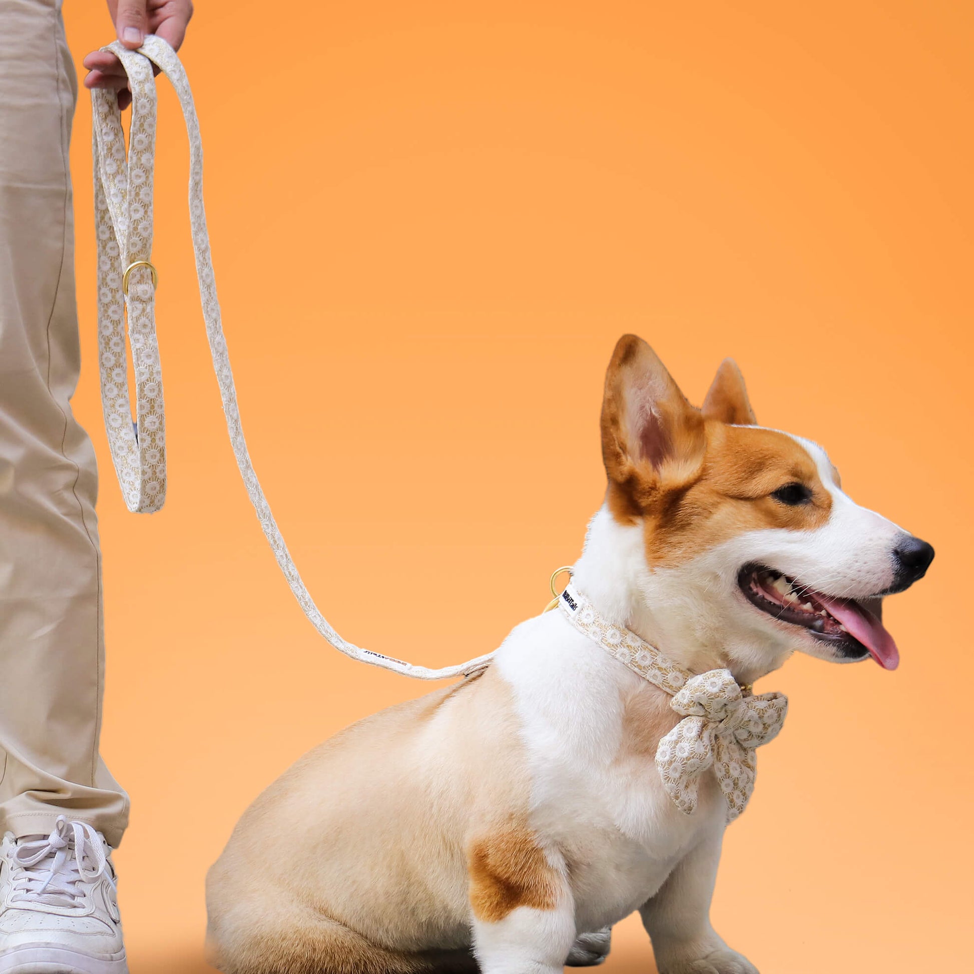Bobotails floral brilliance dog collar and leash set for small and medium dog