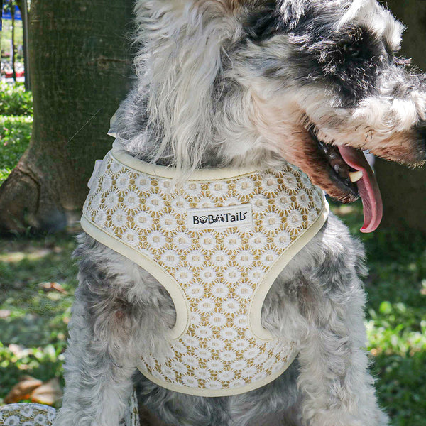 medium dog harness