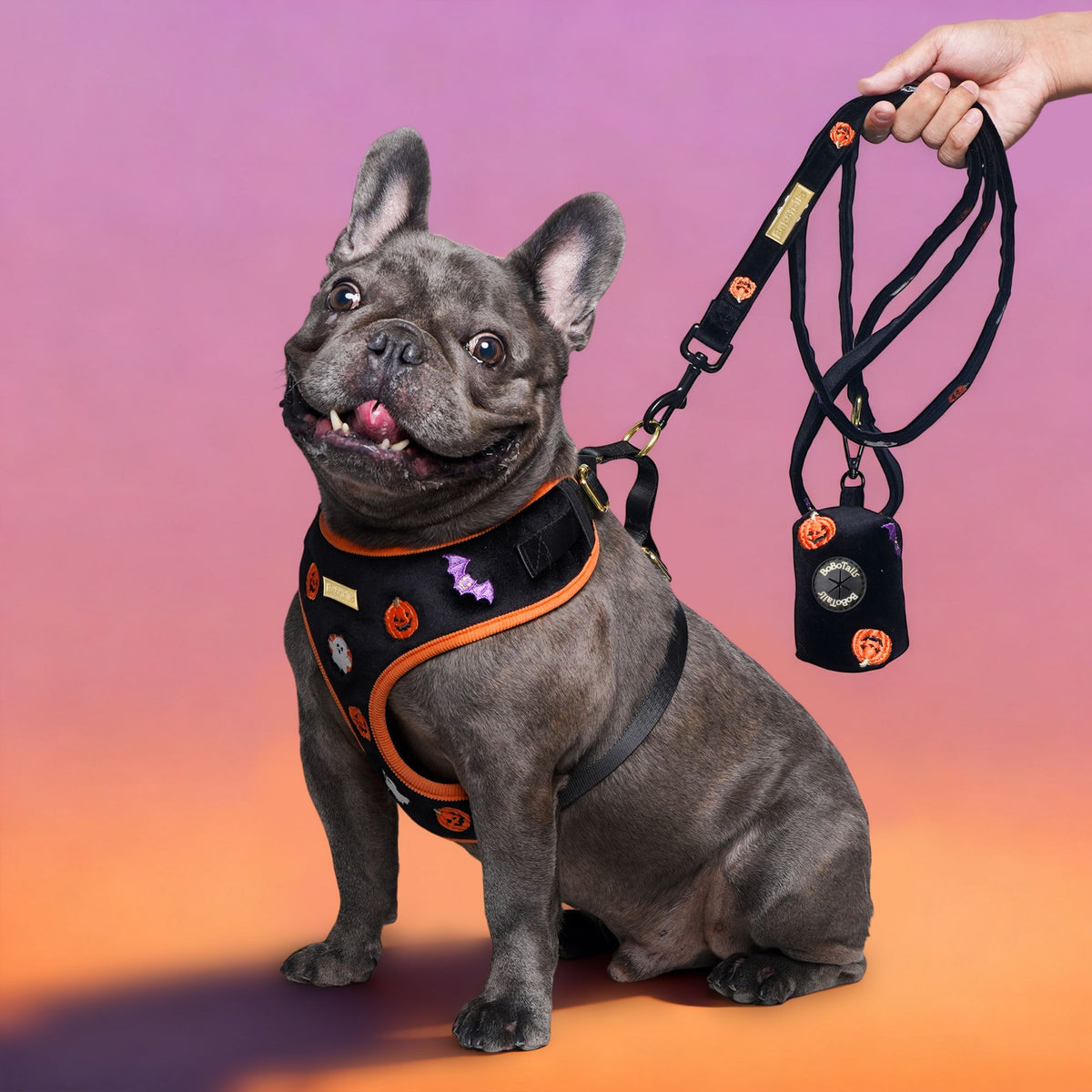 Bobotails halloween costumes harness and leash set for medium dog french bull dog