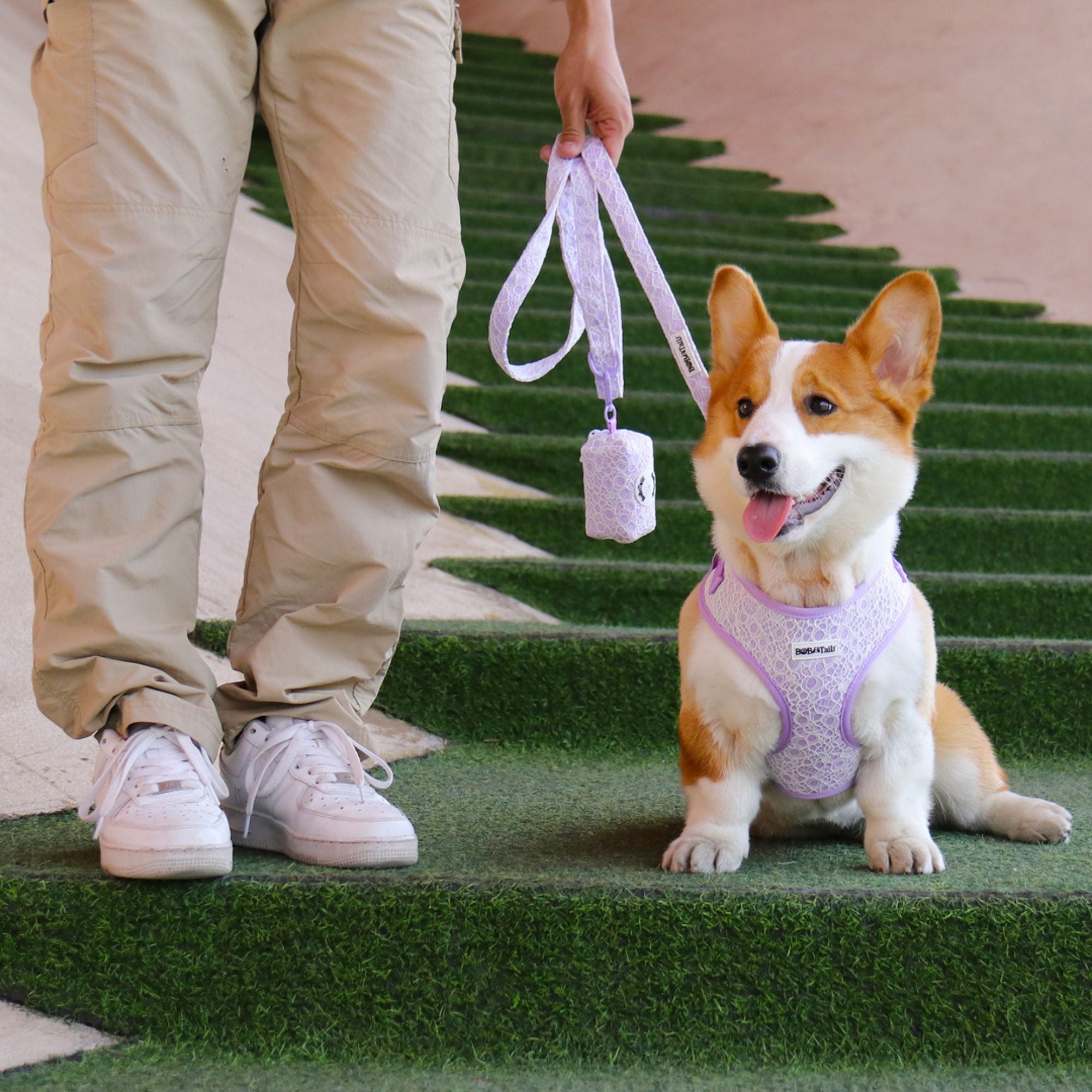 lavender lace dog harness and leash set  as part of a complete dog and owner matching accessory set