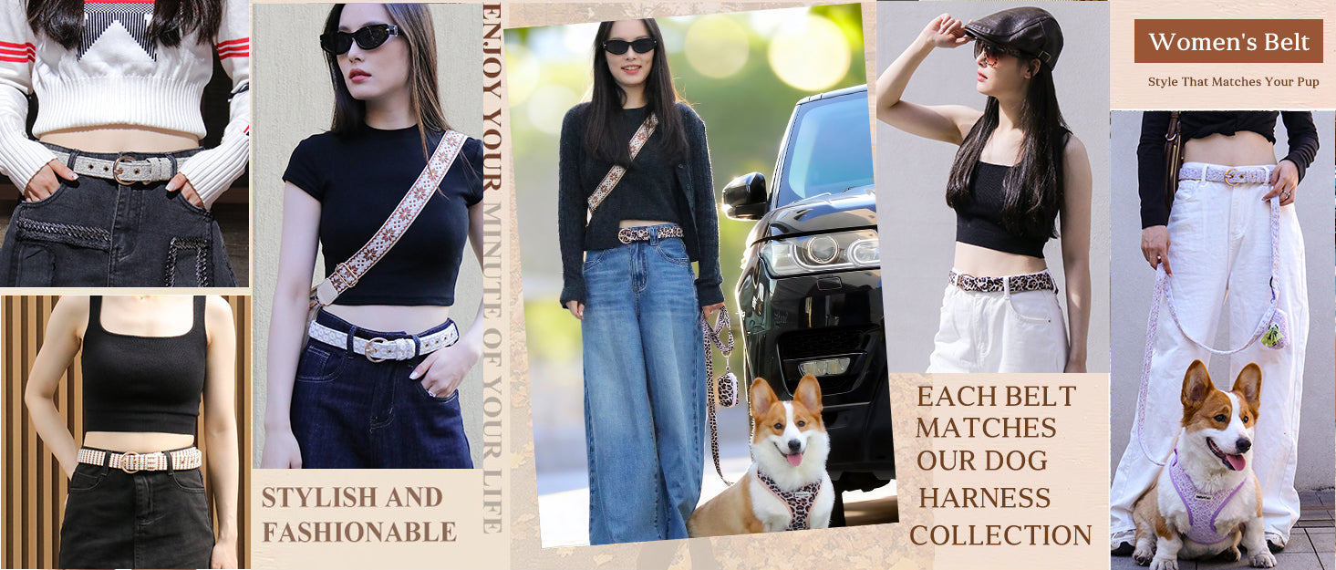 Bobotails lavender lace intentional design for pet parents-woman belt