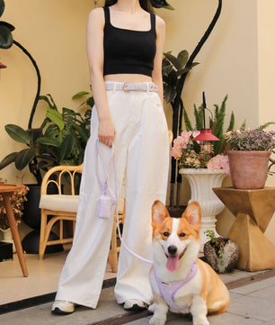 Lavender lace women’s belt designed to match dog harness and accessories for elegant daily wear