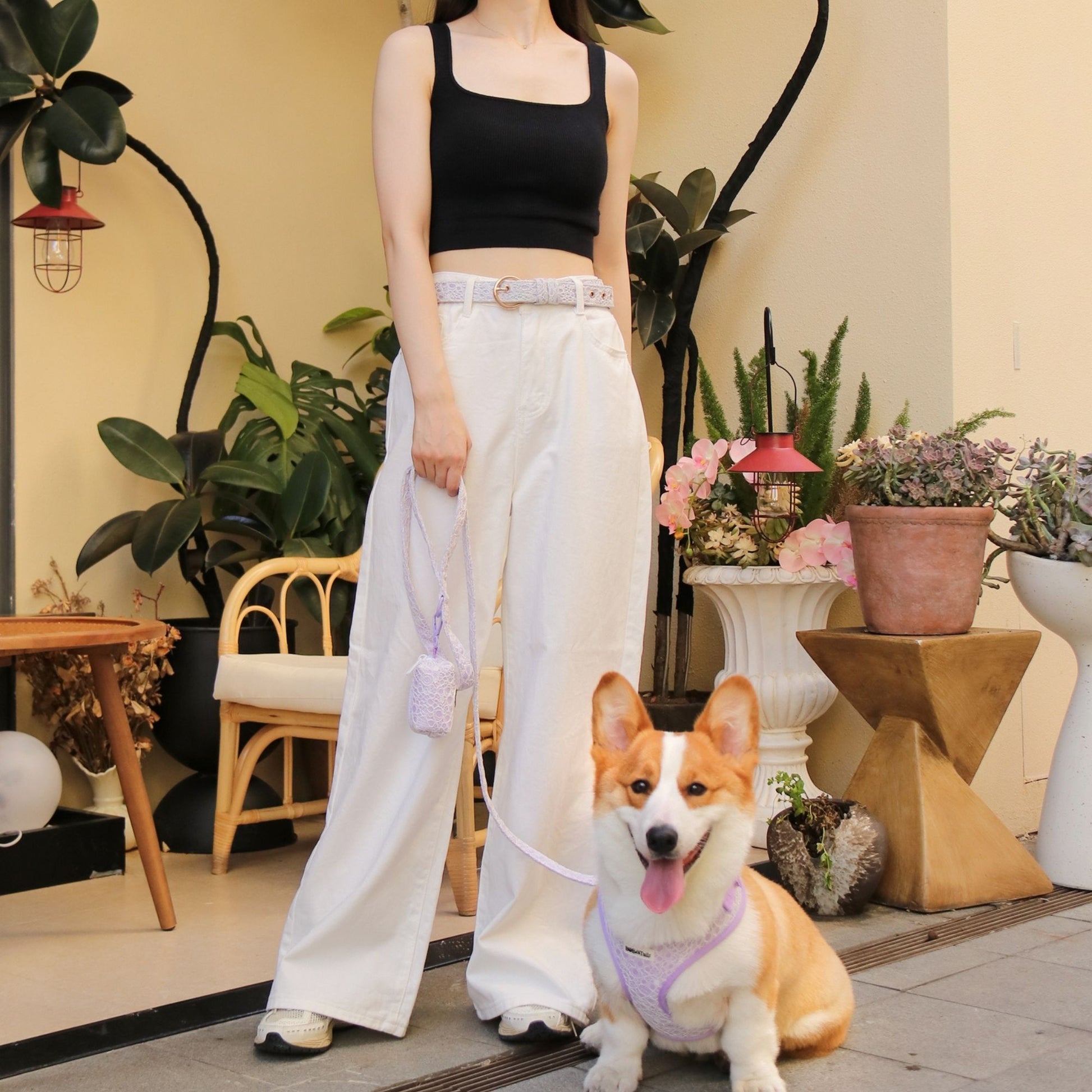 Lavender lace women’s belt designed to match dog harness and accessories for elegant daily wear