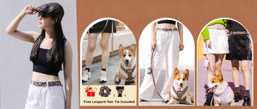 bobotails  leopard matching dog harness leash set and owner accessories