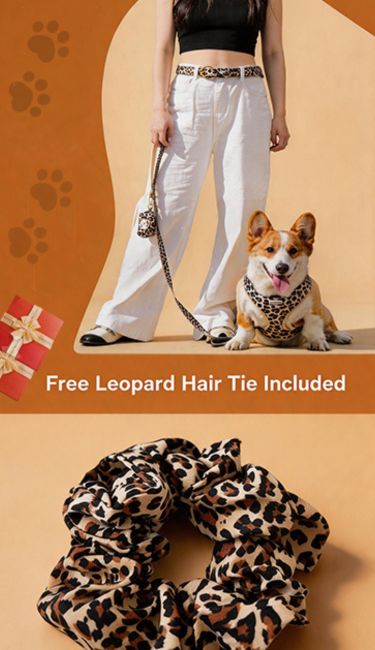 bobotails leopard matching dog harness leash set and owner accessories hair tier,women's belt,tote bag,cap
