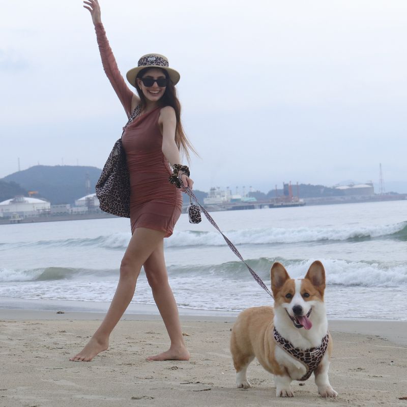 A woman in a rust-colored mini dress and patterned hat walks barefoot on a sandy beach with a corgi on a matching patterned leash and harness.