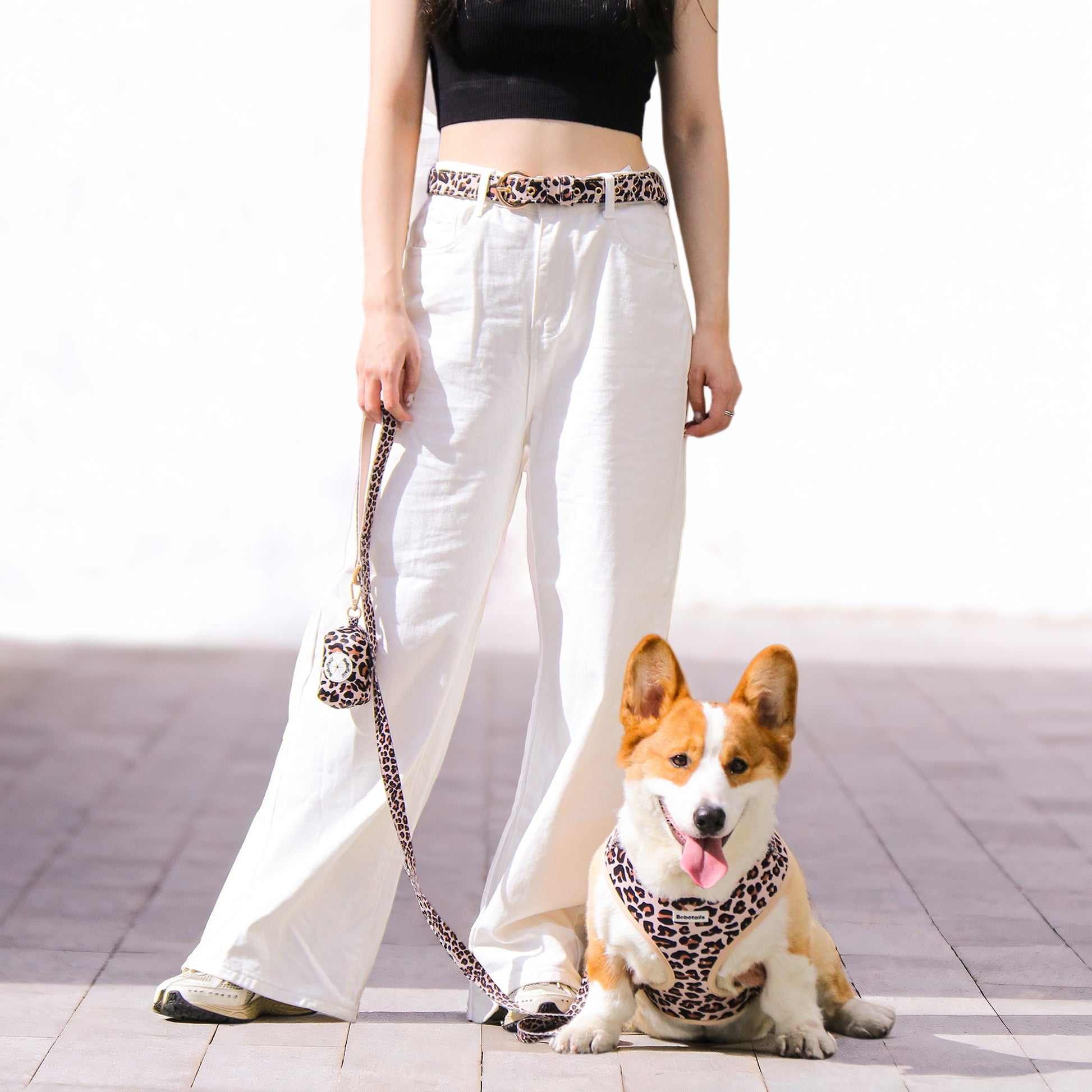 Bobotails leopard printed dog  harness leash set and matching woman belt for dog walking routines