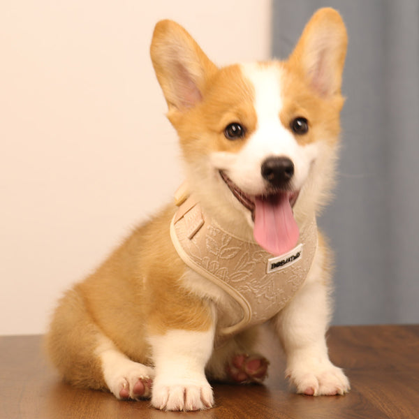 Bobotails Dog Harness, Cute Puppy Harness, Adjustable Soft Padded Dog Vest, Airmesh Breatheable Pet Cotton material Vest with Easy Control for puppy training harness
