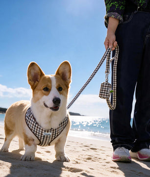 A corgi dog wearing a Bobotails plaid no pull harness stands on a sandy beach next to a person holding a matching plaid leash and poop bag holder set walking at beach side.